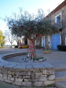 230105_Cuculles013.jpg