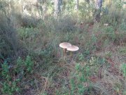 230116_Argelliers002.jpg