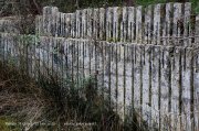 230122_St-Genies026.jpg