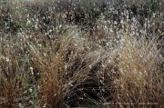 230122_St-Genies029.jpg
