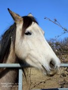 230213_Soumont006.jpg