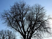 230213_Soumont019A.jpg