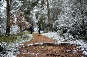 230227_Neige002.jpg