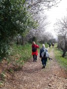 230309_Laverune003.jpg