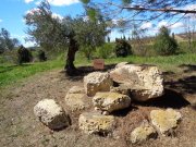 230403_Roujan026.jpg