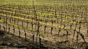 230403_Roujan032.jpg