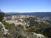 230327_Lundi033.jpg
