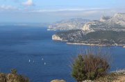 230326_Dimanche029.jpg