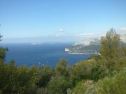 230326_Dimanche031.jpg