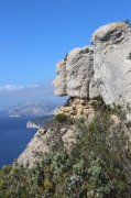 230326_Dimanche040.jpg