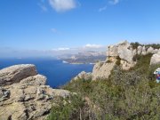 230326_Dimanche042.jpg
