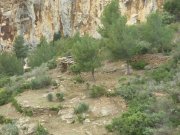 230326_Dimanche067.jpg