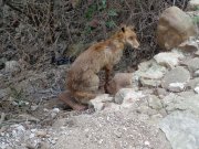 230326_Dimanche082.jpg
