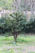 230326_Dimanche105.jpg