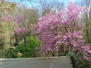230413_Aniane025.jpg
