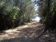 230420_Aresquiers009.jpg