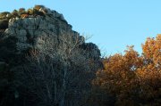 221211_Corconne001.jpg