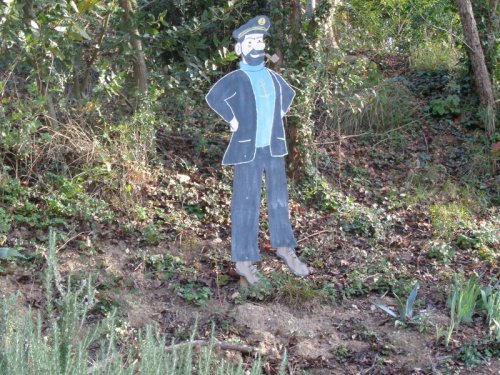 Cliquer pour voir l'image en taille réelle