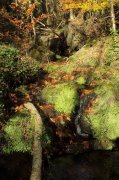 221127_Mouzoules018.jpg