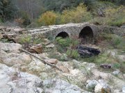 221113_Mercou031.jpg