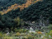 221113_Mercou035.jpg