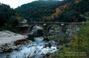 221113_Mercou036.jpg