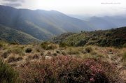 221030_Asclier008.jpg