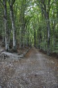 221009_Septieme-Jour-018.jpg
