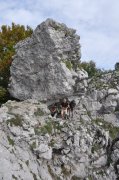 221009_Septieme-Jour-041.jpg