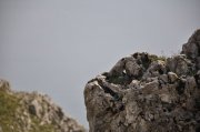 221009_Septieme-Jour-067.jpg
