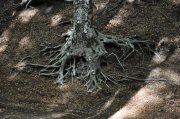 221009_Septieme-Jour-074.jpg