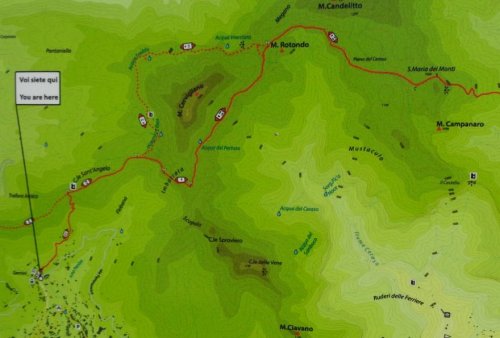 Cliquer pour voir l'image en taille réelle