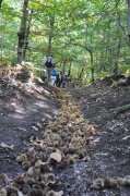 221008_Sixieme-Jour-028.jpg