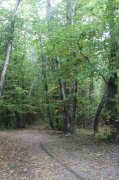 221008_Sixieme-Jour-041.jpg