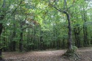 221008_Sixieme-Jour-042.jpg