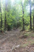 221008_Sixieme-Jour-043.jpg