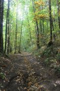 221008_Sixieme-Jour-047.jpg