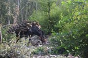 221008_Sixieme-Jour-050.jpg