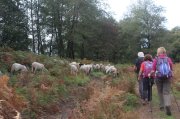 221008_Sixieme-Jour-078.jpg