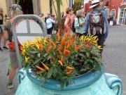 221007_Cinqieme-Jour-088A.jpg
