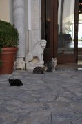 221006_Quatrieme-Jour-025.jpg