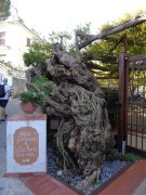 221006_Quatrieme-Jour-026.jpg