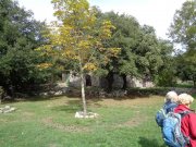 220929_Bois-Monnier002.jpg