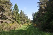 220612_Dimanche-029.jpg