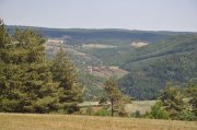 220612_Dimanche-043.jpg