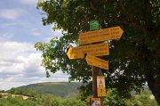 220612_Dimanche-046.jpg