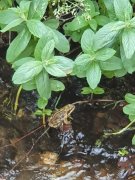 220612_Dimanche-052.jpg