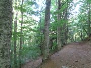 220612_Dimanche-053B.jpg