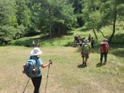 220612_Dimanche-058.jpg