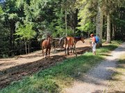 220612_Dimanche-062.jpg